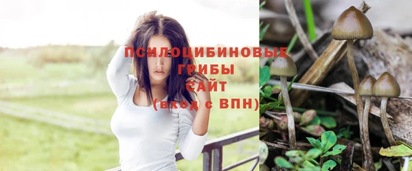 СК Алексин
