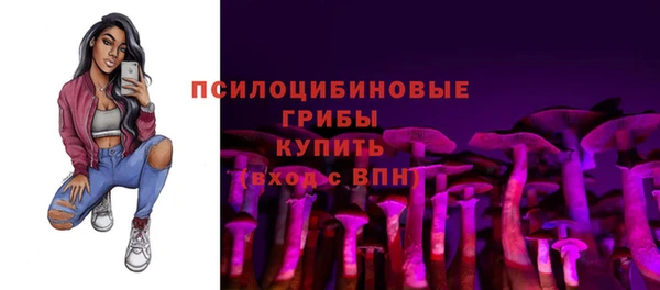 СК Алексин