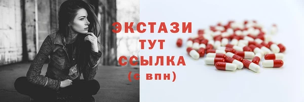 СК Алексин
