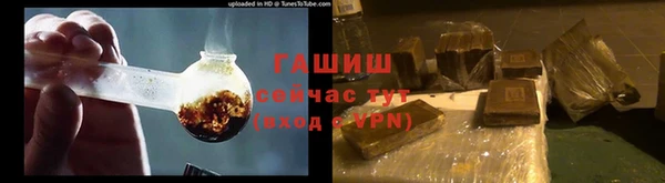 гидра Алексеевка