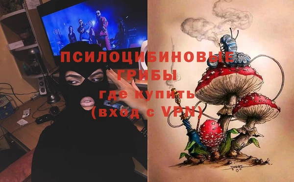 СК Алексин