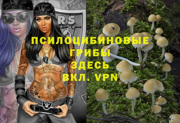 гидра Алексеевка