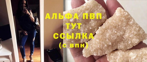 СК Алексин