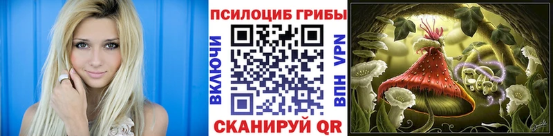 нарко площадка какой сайт  Николаевск  Псилоцибиновые грибы мухоморы 